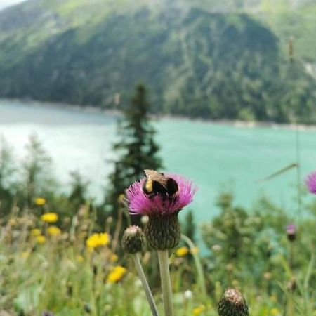Haus Dora Apartment 2 Penken Mayrhofen Luaran gambar